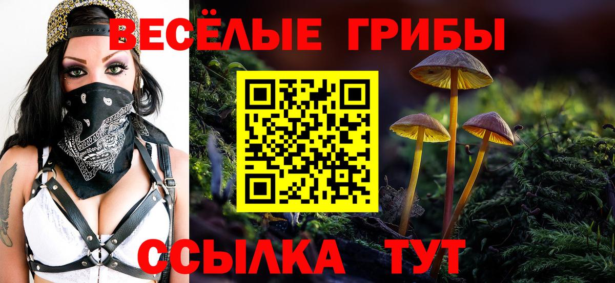 Хабаровск  купить   Вход с VPN  Псилоцибиновые грибы GOLDEN TEACHER 