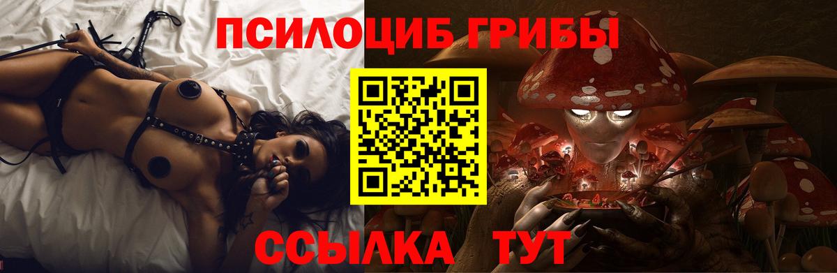 Псилоцибиновые грибы ЛСД Хабаровск